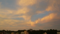 夕日